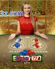 tiger67